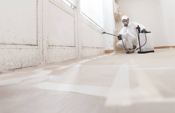 24/7 Emergency Basement Mold Remediation experts in Clayton, GA
