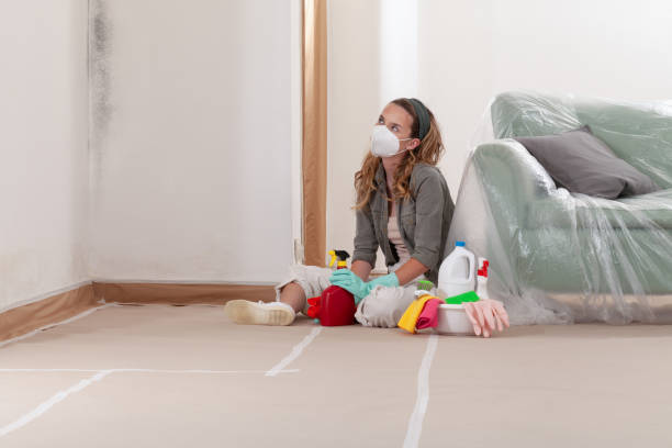 Reliable Basement Mold Remediation contractor in Clayton, GA by Mold Remediation HQ